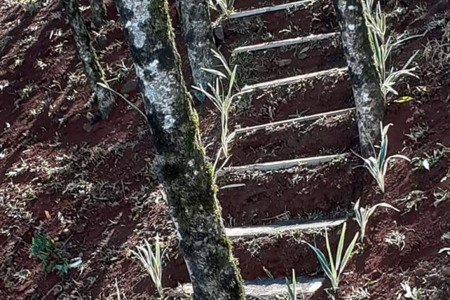 Property Detail