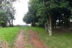 Imagem 0