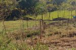 Imagem 12