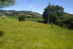 Imagem 4