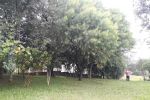 Imagem 10