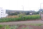Imagem 18