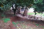 Imagem 5