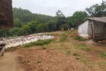 Imagem 6