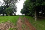 Imagem 4