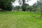 Imagem 11