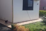 Imagem 7