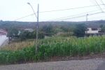 Imagem 4